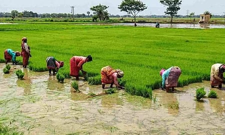 Image of farmers used for representational purposes only.