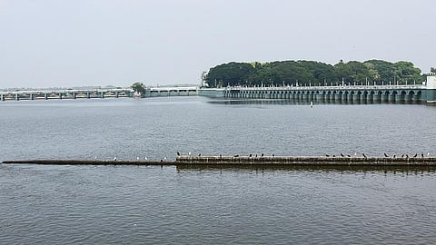 Cauvery river