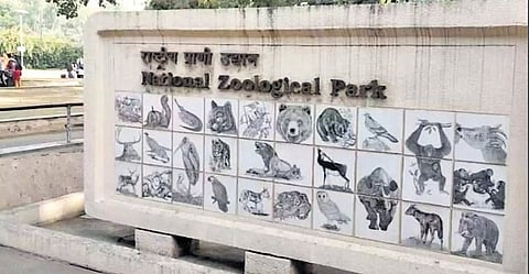 National Zoological Park in Delhi