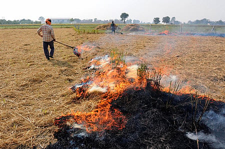 A farmer burns paddy stubble at a farm on the outskirts of Amritsar