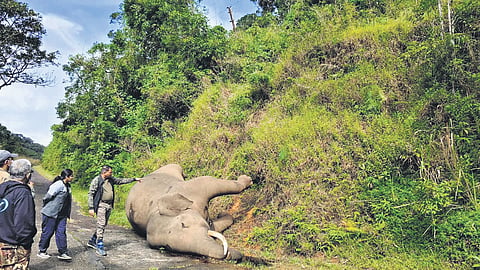 The report mentions that ‘Radhakrishnan’ died due to multiple compound skull fractures, severe trauma, and extensive haemorrhage resulting from a fall