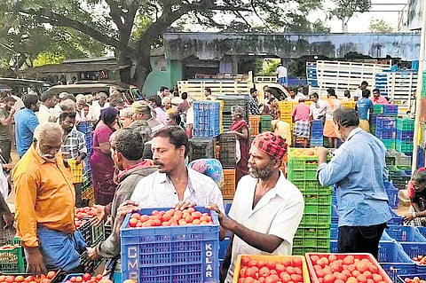 Retail price of tomato has increased from Rs 25 per kg to Rs 55–Rs 60 per kg