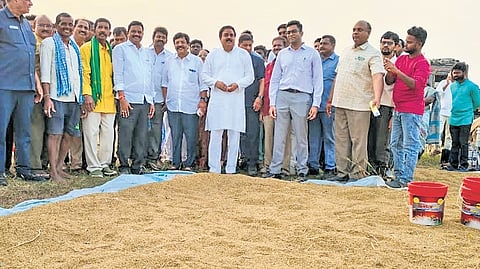Civil Supplies Minister N Manohar inspecting a paddy field in E Godavari