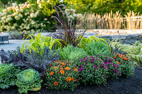 Colourful hedges: Living boundaries for your outdoor garden