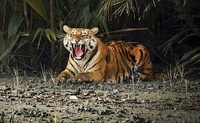 Image used for representative purpose.
