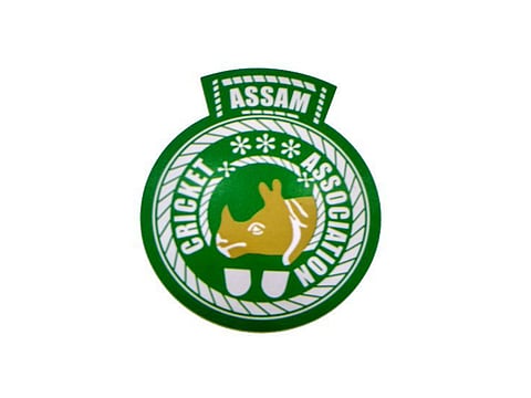 ACA logo