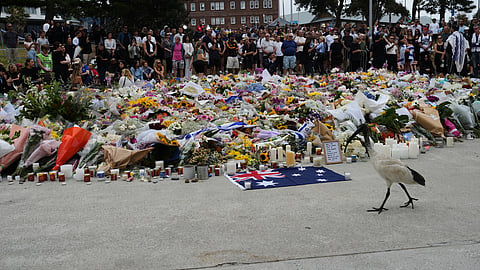 An Ibis walks past a flower memorial by the Bondi Pavilion at Bondi Beach on Tuesday, Dec. 16, 2025, following Sunday's shooting in Sydney, Australia.