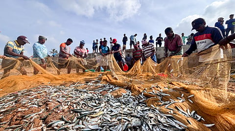 India’s marine product exports