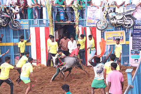 The event is being held as part of the annual St. Vinnerppu Church festival and is organised by villagers of Thatchankurichi.