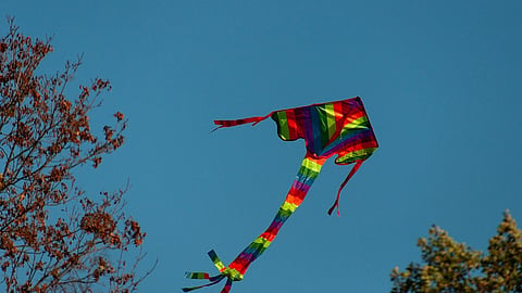 Up, Up, Hurrah: The Great Indian Kite Festival to be held on January 11