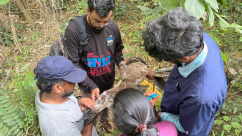 People for Animals (PFA) team rescues a bird entangled in kite string.