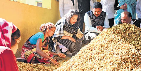 Chief secretary Anu Garg at the turmeric processing plant in Phiringia