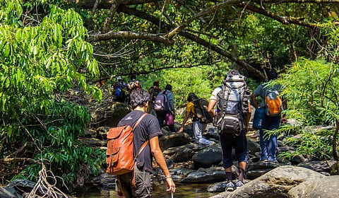 Another reason for closing down the trekking routes is the ongoing tiger census.
