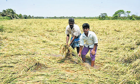 Relief amount will be directly credited to bank accounts of farmers in 38 districts,
a release said.