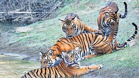 Image used for representative purpose.