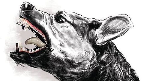 Image used for representative purpose.