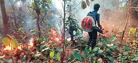 Baripada circle plans massive 7,700 km fire line across 7 wildlife divisions