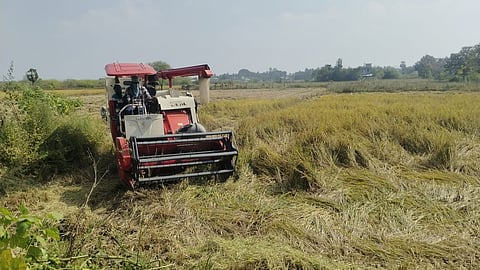 Farmers in Karaikal have urged the Puducherry government to provide the compensation before January 26.