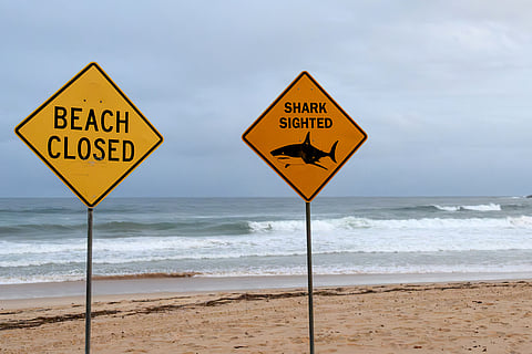 Signs for the temporary closure of a beach due to the sighting of sharks are seen on North Steyne Beach in Manly, in Sydney,