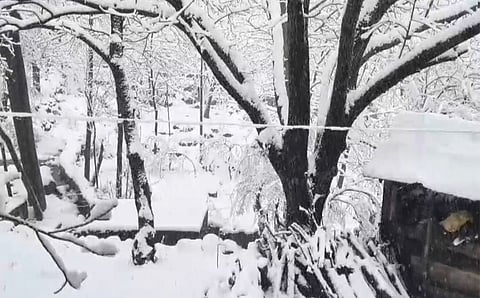 In the past 24 hours, heavy snowfall has been reported in Jammu and Kashmir and Himachal Pradesh, while moderate to widespread rainfall occurred across northwest India.