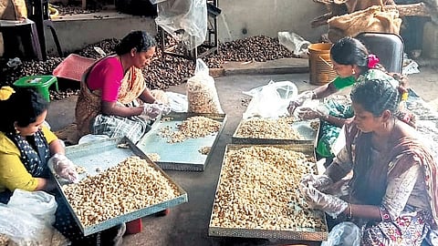Tribal women, long dependent on middlemen to sell minor forest produce, are now emerging as entrepreneurs.