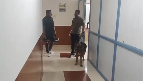Dog squad