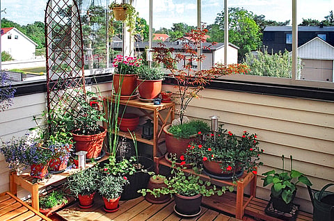 Waterproofing for terrace gardens