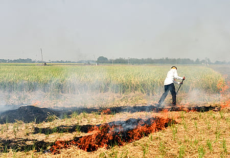 Representative photo