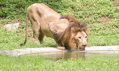 Image used for representation