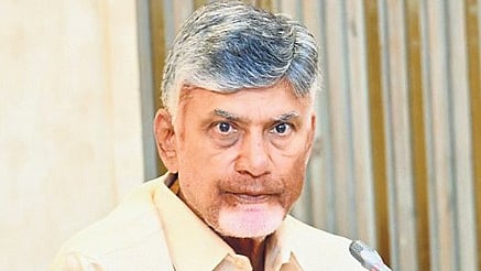 Andhra Pradesh Chief Minister N Chandrababu Naidu