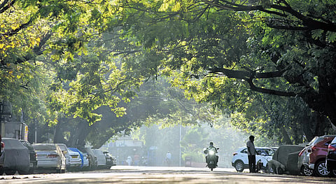 Funding for urban greening will be mobilised through convergence of existing schemes such as AMRUT, Smart Cities Mission and the Green Tamil Nadu Mission.