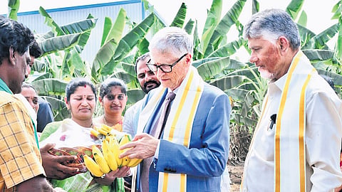Bill and Melinda Gates Foundation Chairman Bill Gates interacts with banana farmers at Undavalli on Monday