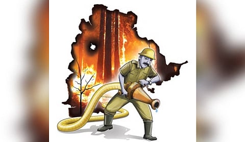 forest fire