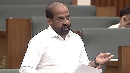 Andhra Pradesh Health Minister Satya Kumar Yadav during the assembly session on Friday.