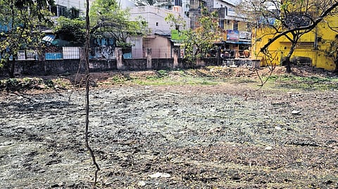 Pallikaranai pond