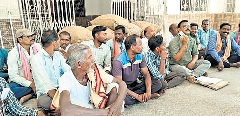 Farmers staging protest with paddy bags at Bargarh collectorate on Thursday