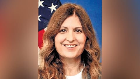 Mariana L Neisuler