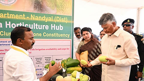 CM Nara Chandrababu Naidu visited Kothaburju, Dhone, Nandyal, distributed pattadar passbooks, pledges focus on agriculture and infrastructure.