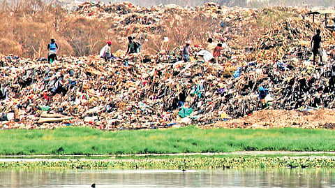 Garbage unloaded at Perungudi dumping yard being cleared into the marshes in Chennai.