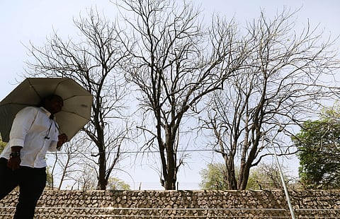 With trees shedding their leaves and leaving the road without shade, a youth walks along carrying an umbrella to shield
