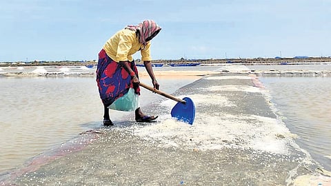 A salt pan worker during her day’s work in Agasthiyampalli