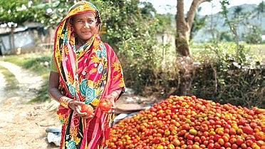 A member of the women farmer producer group poses with the tomato stock.