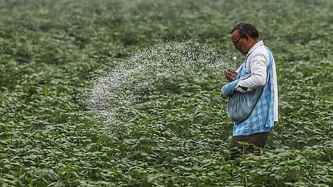 Nano urea, a liquid form of urea fertiliser, provides essential nitrogen to plants, which is necessary for producing amino acids, pigments, enzymes and genetic material.