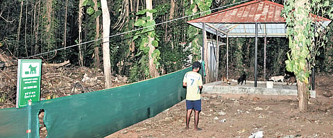 The designated dog feeding spot set up by the Pangode Military Station