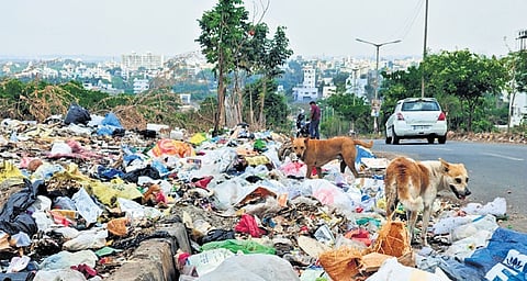 Garbage lies scattered on 100 Feet Road near Ullal Ring Road in Sir MV Layout, Bengaluru, on Sunday