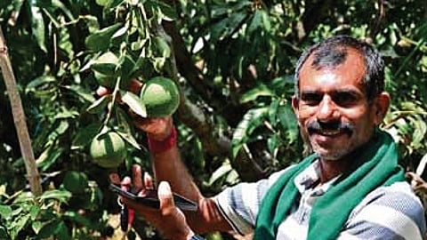 farmer