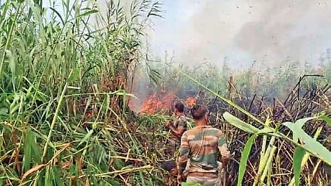 Forest officials engaged in dousing the fire in Chilika Lake on Saturday.