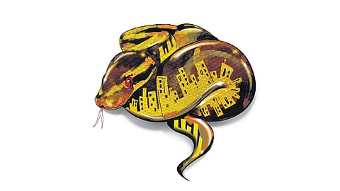 Snake