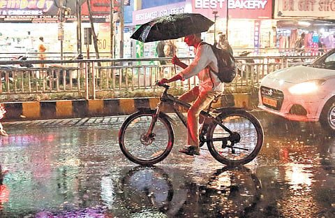 A man pedals through the sudden summer showers that lashed Thoppumpady in Kochi on Tuesday. Several parts of the state received rain on the day