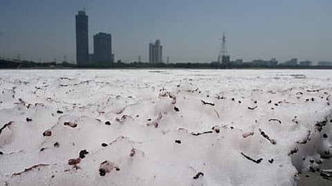 Thick toxic foam drifts across the surface of the Yamuna river.